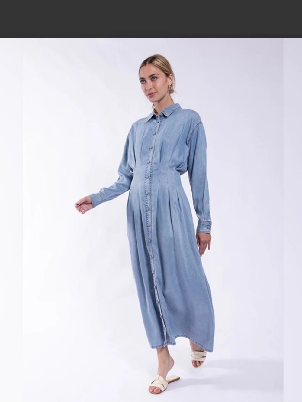 Latitude Denim Dress